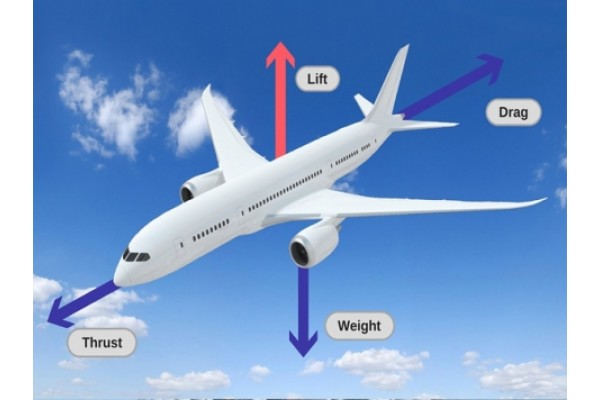 نیروهای وارد برهواپیما